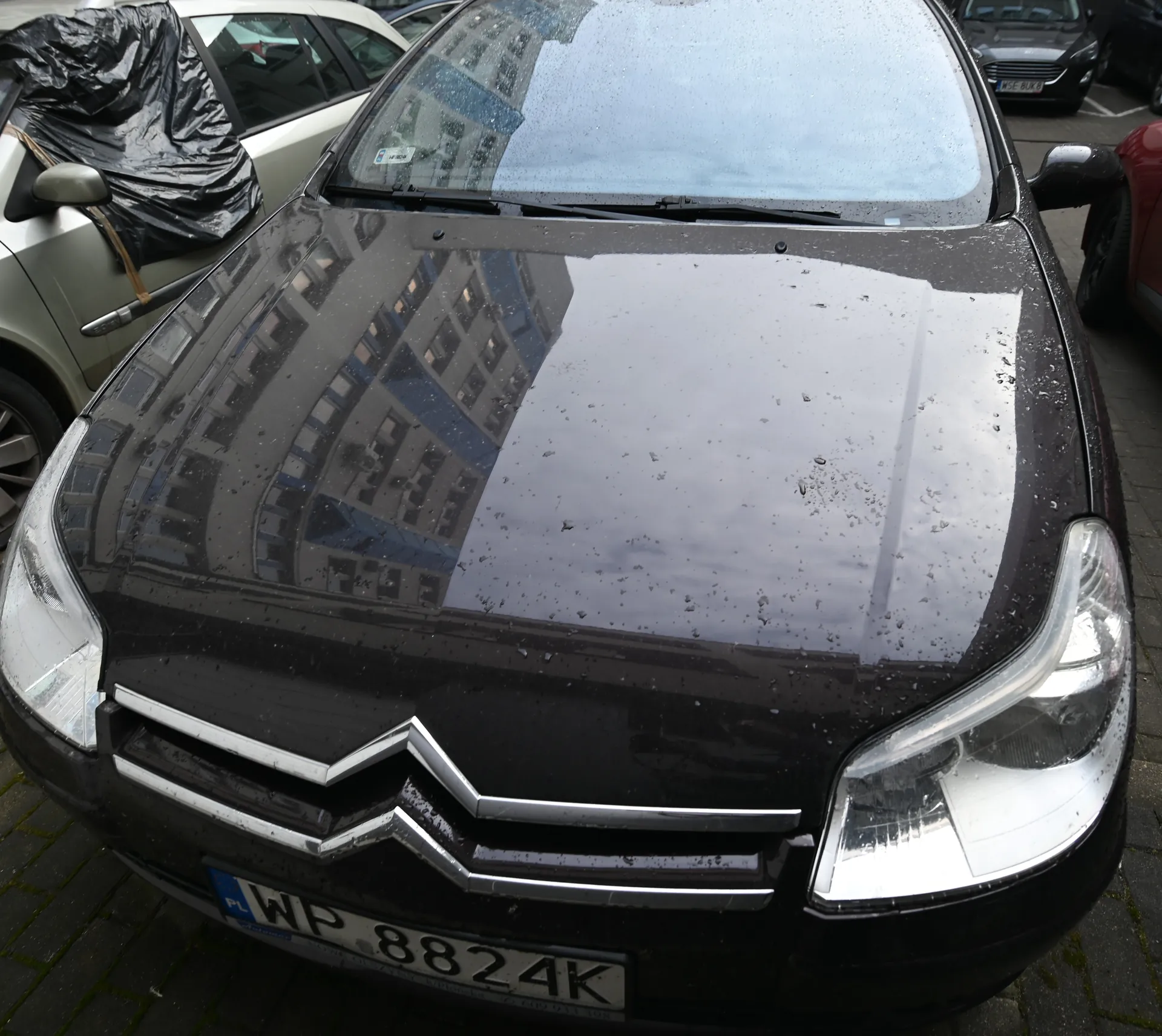 Czarny samochód marki Citroën z przodu, z widoczną tablicą rejestracyjną WP 8824K z kodem PL po lewej stronie. Na masce krople deszczu, odbicie budynku z oknami. W tle zaparkowane pojazdy, w tym srebrny samochód z czarną folią na oknie. Nawierzchnia z bruku.