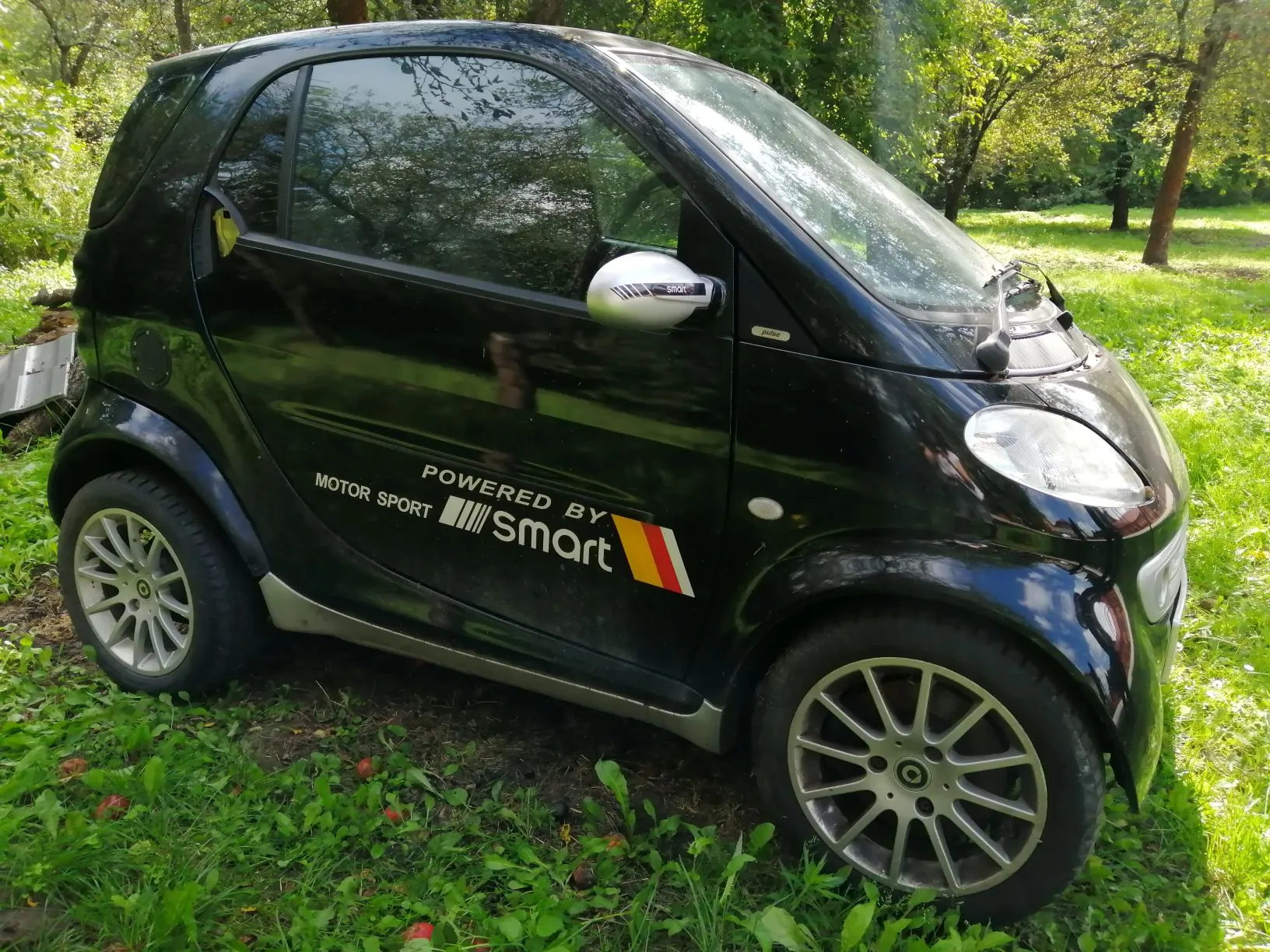 Czarny, dwudrzwiowy samochód marki Smart zaparkowany na trawie w otoczeniu zielonych drzew. Na boku auta znajduje się biały napis „POWERED BY MOTOR SPORT Smart” wraz z kolorowym paskiem w barwach flagi niemieckiej.
