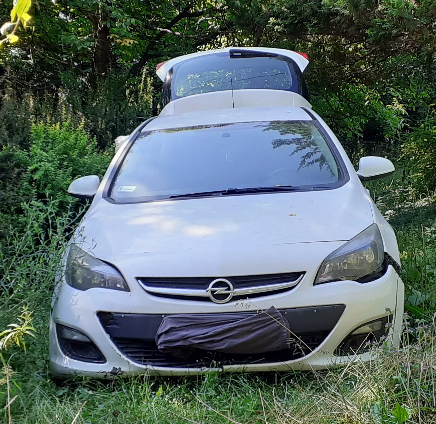 Biały samochód marki Opel zaparkowany w wysokiej trawie i krzakach. Przedni zderzak jest częściowo uszkodzony i zaklejony szarą taśmą. W tle widoczne są zielone drzewa i liście.