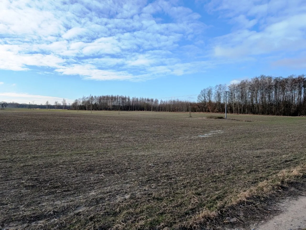 Szeroki widok na płaskie, zaorane pole o ciemnobrązowej ziemi pod jasnoniebieskim niebem z rozproszonymi białymi chmurami. W oddali widoczna jest linia bezlistnych drzew oraz słupy linii energetycznych.