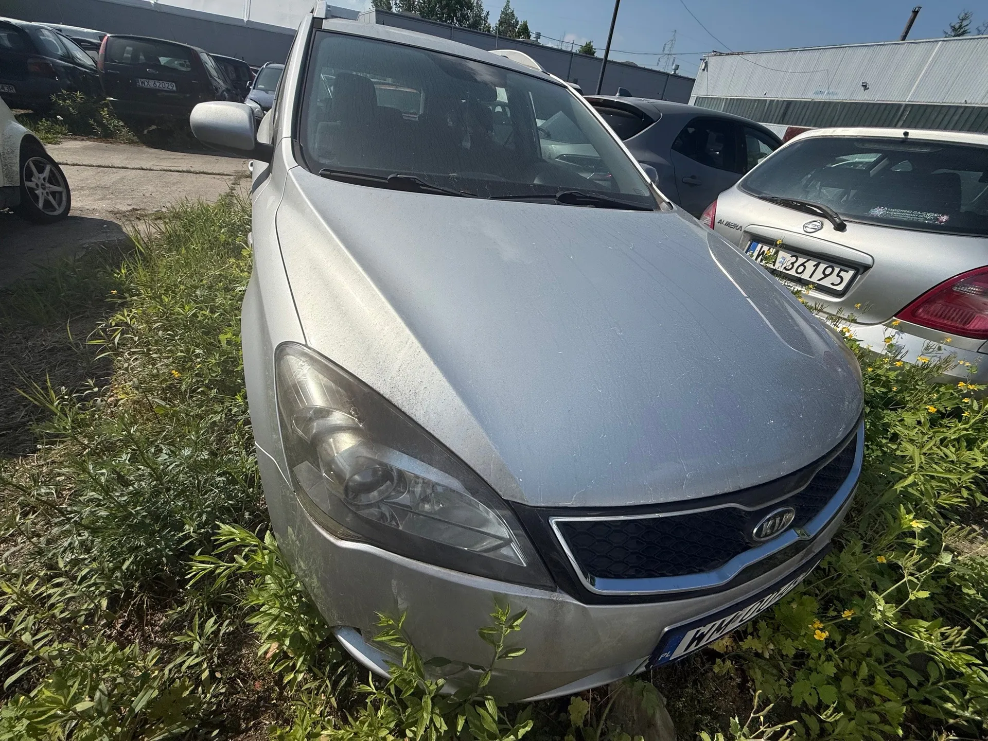 Srebrny samochód marki Kia na pierwszym planie, zaparkowany na porośniętym trawą i kwiatami żółtymi terenie. W tle widoczne są inne pojazdy, w tym srebrny Nissan z tablicą rejestracyjną WA 36195 oraz czarny samochód z tablicą WX 62029. W oddali przemysłowe budynki i jasne niebo. Samochody są ustawione na otwartym parkingu.