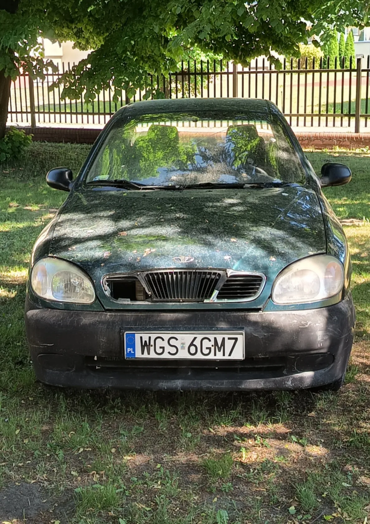 Zielony samochód osobowy zaparkowany na trawie, widok od przodu. Na masce widoczne ślady brudu i uszkodzenia. Tablica rejestracyjna z białym tłem i czarnym napisem WGS 6GM7, po lewej stronie niebieski pas z napisem PL. W tle metalowe ogrodzenie, drzewa i zielona trawa. Słoneczny dzień, cienie od gałęzi na masce.