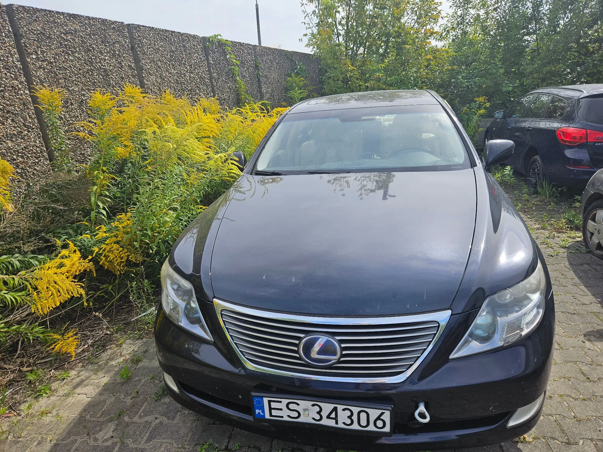Czarny samochód marki Lexus zaparkowany na kostce brukowej. Pojazd jest widoczny od przodu, z wyraźnym logo marki na grillu oraz tablicą rejestracyjną o numerze ES 34306. W tle znajduje się wysoki mur z gabionów, żółte kwiaty oraz zielone drzewa i krzewy. Po prawej stronie widoczny jest fragment innego, ciemnego samochodu.