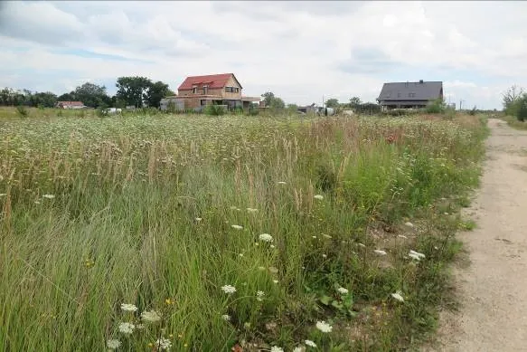 Krajobraz z polaną pełną wysokich traw i białych polnych kwiatów. Po prawej stronie znajduje się piaszczysta droga prowadząca w głąb obrazu. W tle widoczne są dwa domy jednorodzinne: jeden z czerwonym dachem w stanie budowy oraz drugi z ciemnoszarym dachem. Niebo jest jasne z rozproszonymi białymi chmurami.