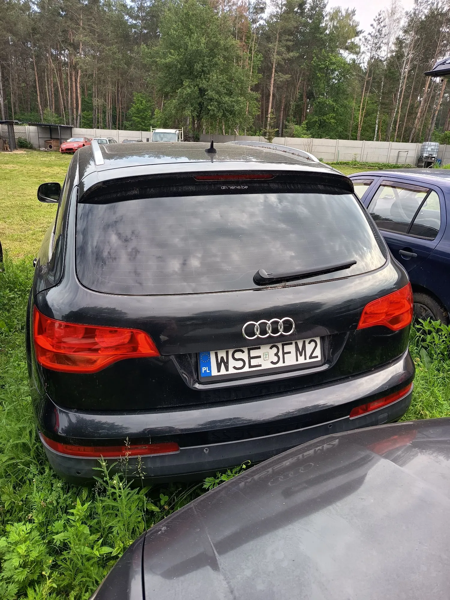 Tylny widok czarnego samochodu marki Audi zaparkowanego na trawie. Pojazd ma polską tablicę rejestracyjną o numerze WSE 3FM2. W tle widoczny jest las, ogrodzenie oraz inne zaparkowane samochody.