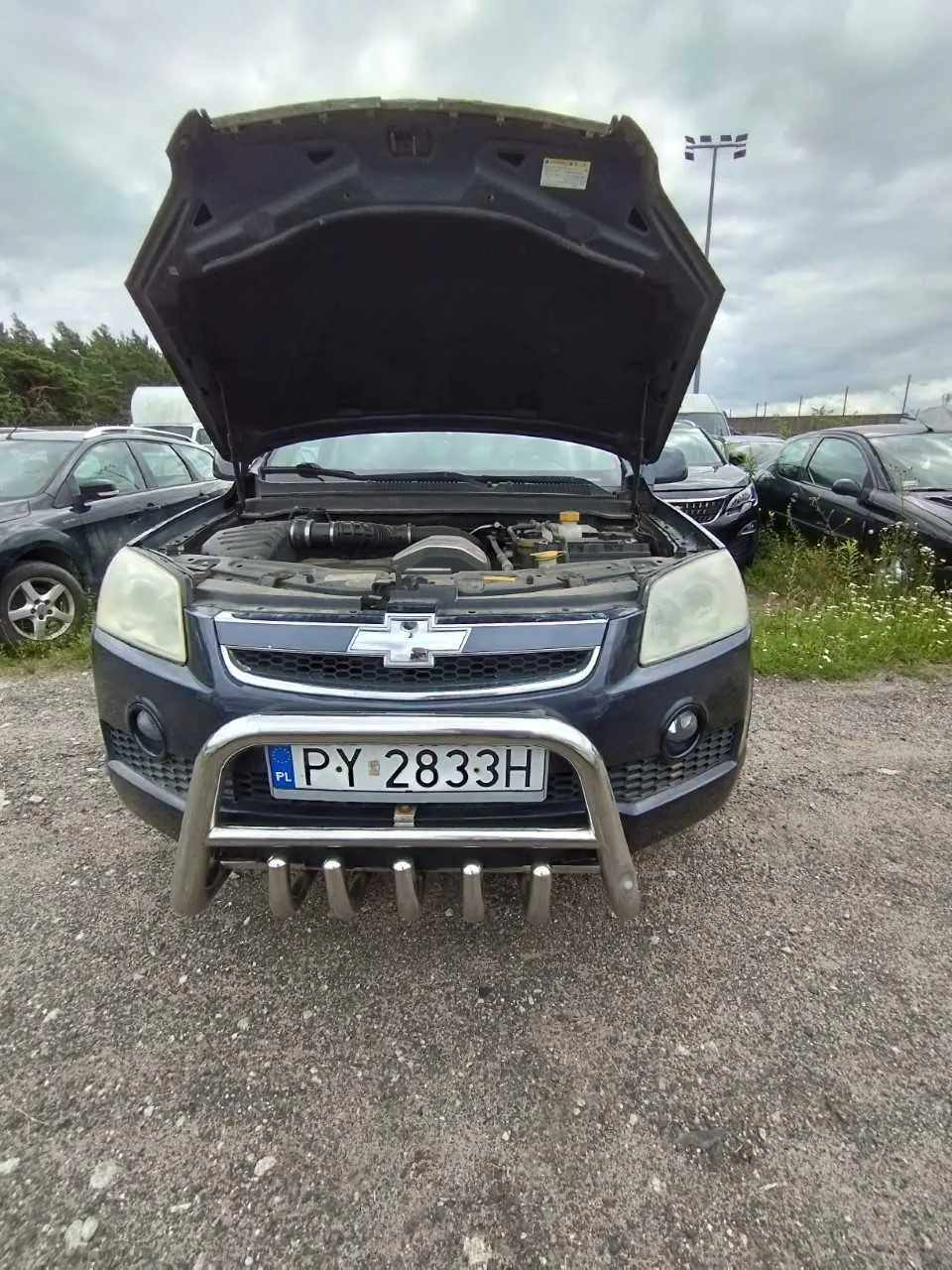 Zdjęcie przodu ciemnego samochodu marki Chevrolet z otwartą maską silnika. Pojazd posiada zamontowany srebrny zderzak ochronny (bullbar), na którym znajduje się polska tablica rejestracyjna o numerze PY 2833H. W tle widoczne są inne zaparkowane samochody oraz pochmurne niebo.