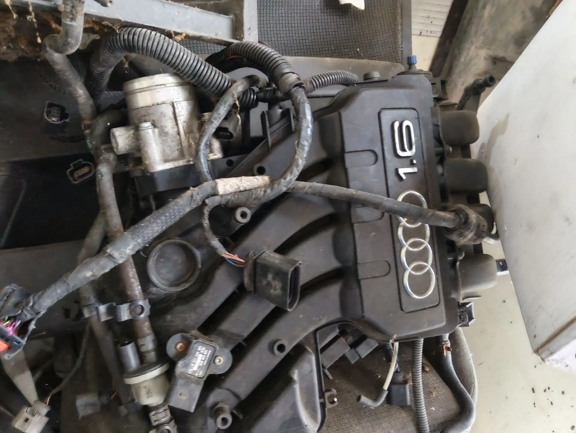Audi None None - zdjęcie 11