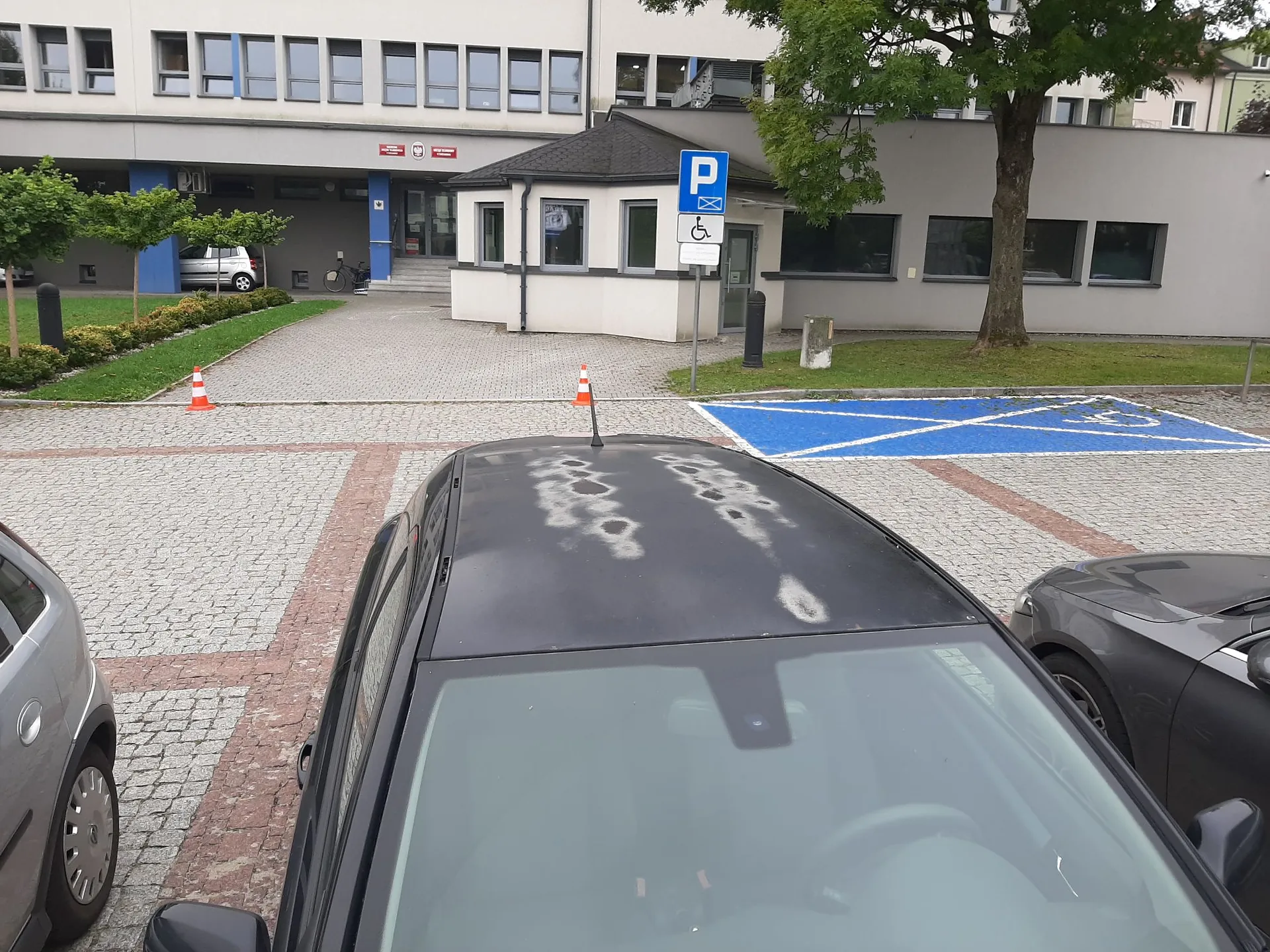 Widok z perspektywy dachu czarnego samochodu zaparkowanego na placu z kostki brukowej. Przed samochodem znajduje się niebieskie miejsce parkingowe dla osób niepełnosprawnych z białym symbolem wózka inwalidzkiego. W tle widoczny jest nowoczesny, biały, dwupiętrowy budynek biurowy z licznymi oknami i wejściem. Przed budynkiem stoi znak parkingowy z literą 'P' oraz symbolem osoby niepełnosprawnej. Po prawej stronie rośnie duże, zielone drzewo, a po lewej mniejsze krzewy i dwa pomarańczowe pachołki drogowe.