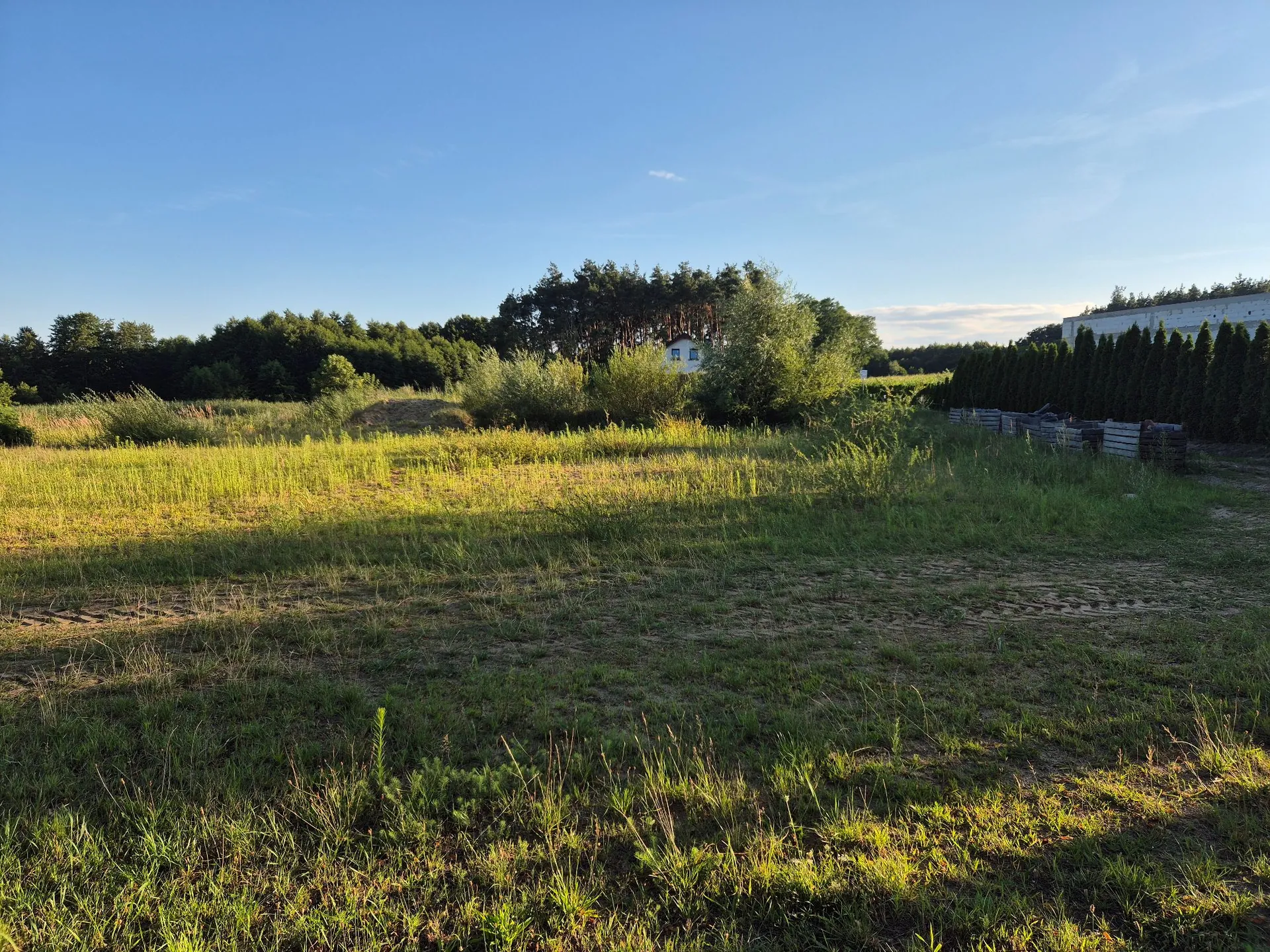 Grunt 2190 m² Sądzia - Licytacja w Lesznie - zdjęcie 4
