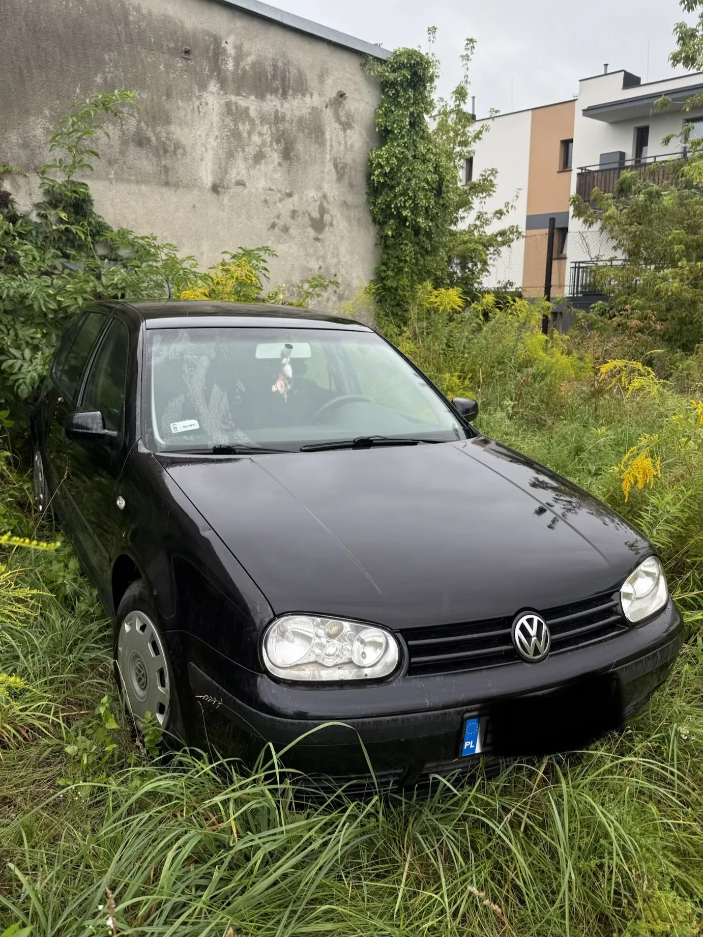 Czarny samochód osobowy marki Volkswagen zaparkowany w wysokiej, zielonej trawie i chwastach. Auto stoi przodem do widza, w tle widoczna jest szara betonowa ściana budynku oraz fragment nowoczesnego, białego budynku mieszkalnego z balkonami. Na przednim zderzaku widoczny jest fragment polskiej tablicy rejestracyjnej z oznaczeniem PL.