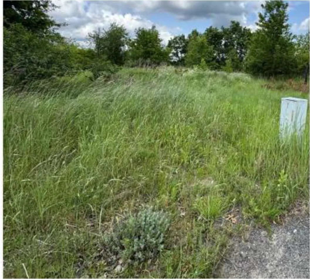 Zdjęcie przedstawia trawiastą łąkę z wysoką zieloną trawą i niewielkim wzniesieniem w centrum. W tle widoczne są drzewa oraz częściowo zachmurzone niebo. Po prawej stronie znajduje się biały prostokątny obiekt, prawdopodobnie tablica lub znak. W dolnej części obrazu widoczny jest fragment drogi lub ścieżki z żwirem. Roślinność jest gęsta, a horyzont przebiega poziomo.