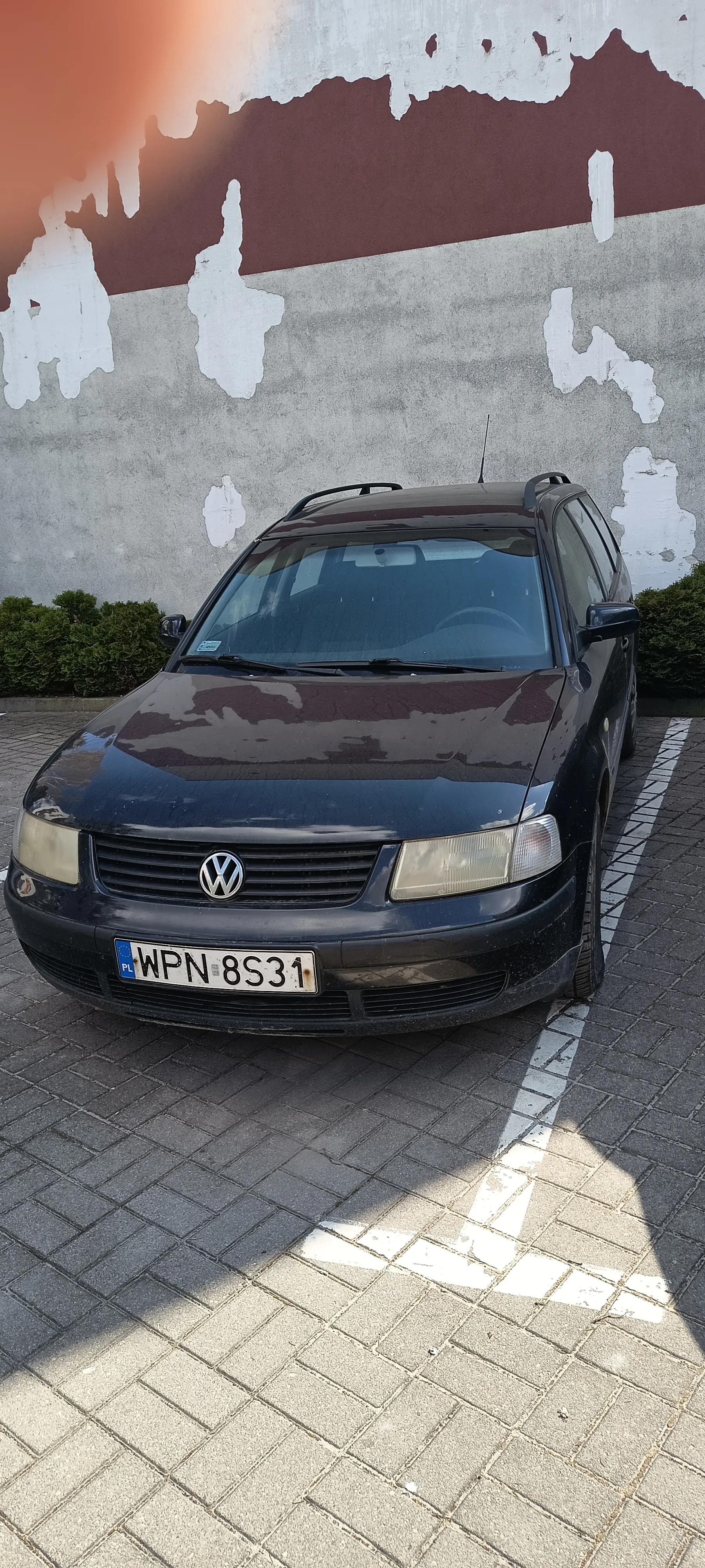 Ciemny samochód osobowy marki Volkswagen z dachowym bagażnikiem zaparkowany na brukowanej powierzchni. Widoczna tablica rejestracyjna PL WPN 8S31. Tło stanowi betonowa ściana z obłupioną farbą w kolorach białym i bordowym, po bokach krzewy. Samochód stoi na miejscu parkingowym z białą linią.
