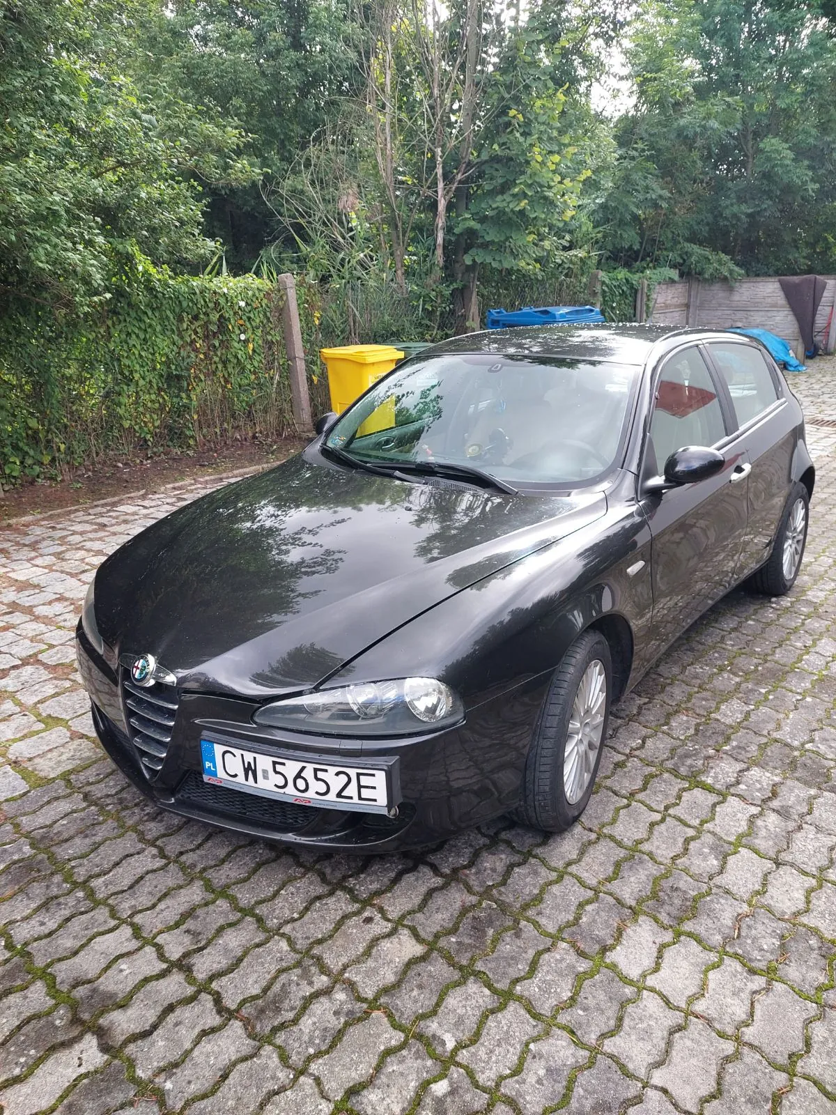 Czarny samochód marki Alfa Romeo zaparkowany na podjeździe z kostki brukowej. Pojazd ma polską tablicę rejestracyjną o numerze CW 5652E. W tle widoczne są zielone krzewy, drzewa oraz żółty pojemnik na odpady.