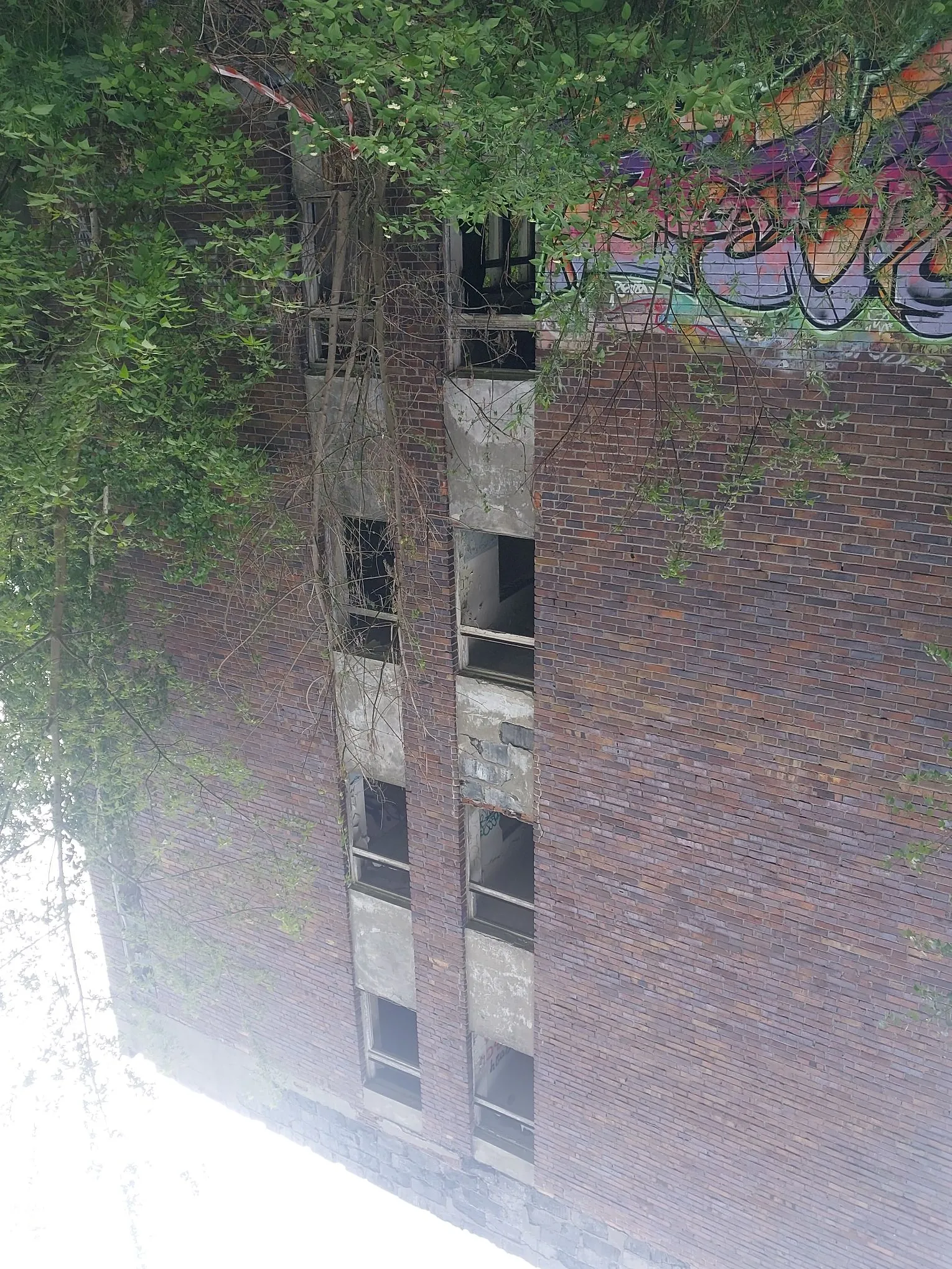 Zdjęcie przedstawia ścianę opuszczonego, ceglanego budynku z pustymi otworami okiennymi. Na prawej stronie ściany widoczne jest kolorowe graffiti. Budynek jest częściowo przysłonięty przez gałęzie zielonych drzew i krzewów. Obraz jest zorientowany poziomo, mimo że przedstawia pionową ścianę budynku.