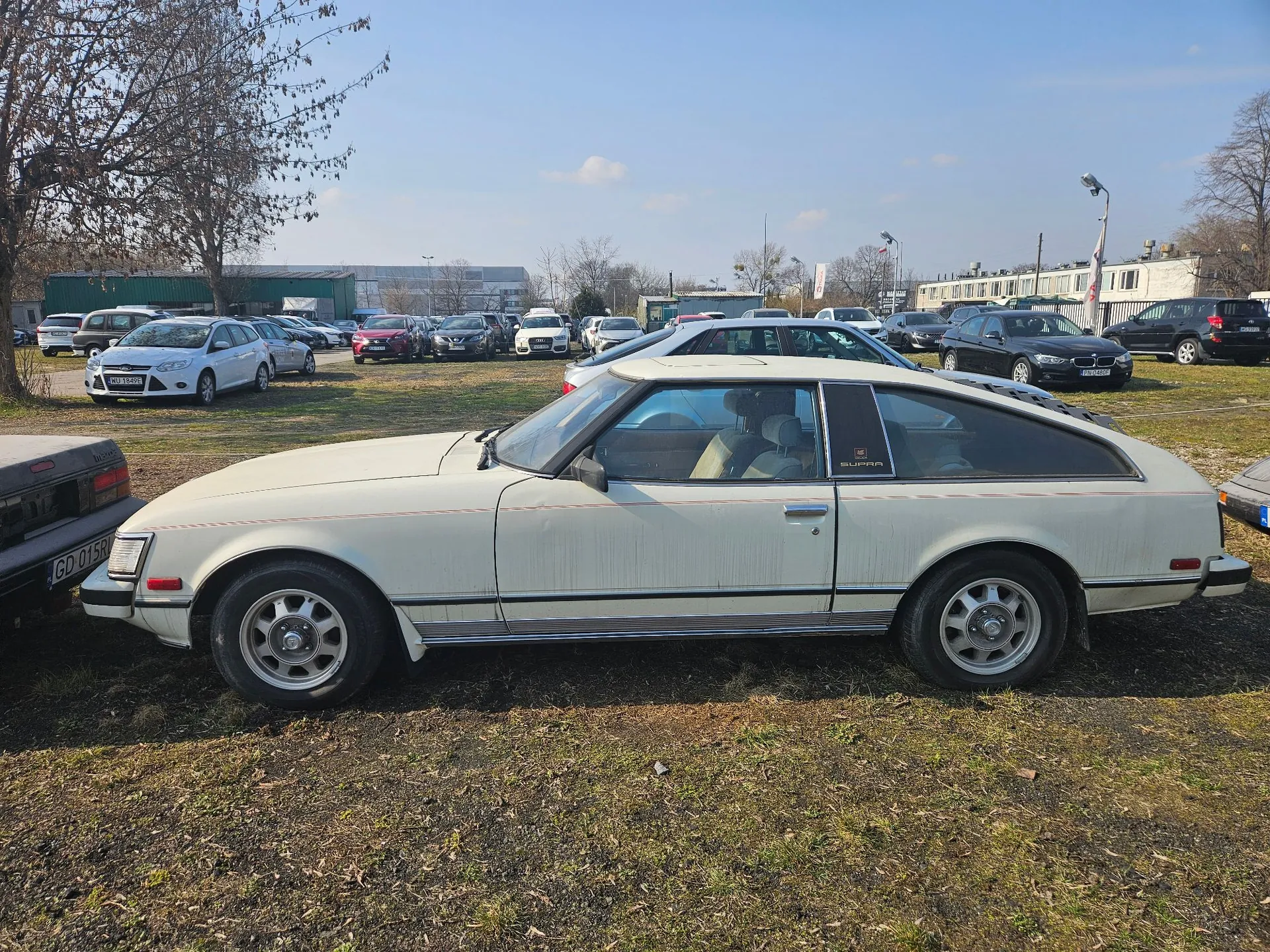 Biały, dwudrzwiowy samochód sportowy Toyota Supra z lat 80. zaparkowany bokiem na trawiastym placu. Pojazd ma charakterystyczną linię nadwozia typu fastback, srebrne felgi oraz czerwoną linię dekoracyjną biegnącą wzdłuż boku. W tle widoczny jest parking z wieloma innymi samochodami, niskie budynki przemysłowe oraz bezlistne drzewa pod jasnym, niebieskim niebem.