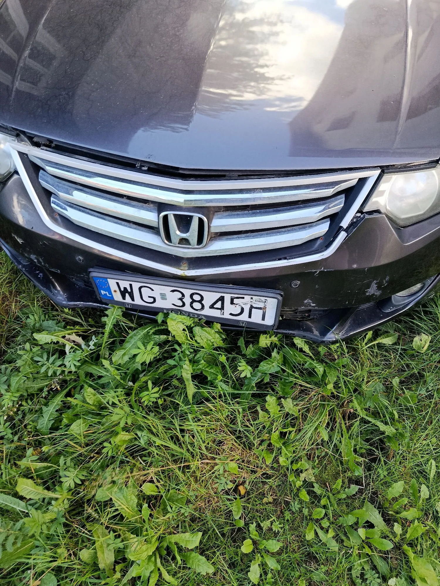 Zbliżenie na przód ciemnego samochodu marki Honda. Widoczny jest srebrny grill z logo marki oraz polska tablica rejestracyjna o numerze WG 3845H. Zderzak w dolnej części jest uszkodzony i częściowo oderwany. Samochód stoi na zielonej trawie.
