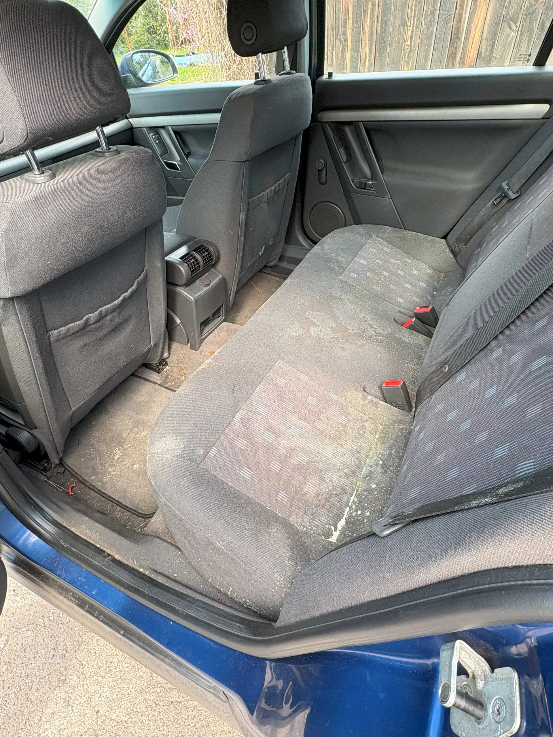 Wnętrze samochodu z widocznymi tylnymi siedzeniami w kolorze szarym z niebieskimi wzorami. Siedzenia są zabrudzone, widoczne są plamy i ślad po zanieczyszczeniach. Drzwi samochodu są otwarte, ujawniając niebieską karoserię. W tle przez okno widać drewniany płot i zieloną roślinność. Wnętrze zawiera poduszki zagłówkowe, pasy bezpieczeństwa z czerwonymi zapięciami oraz elementy deski rozdzielczej i drzwi, takie jak głośnik i uchwyty.