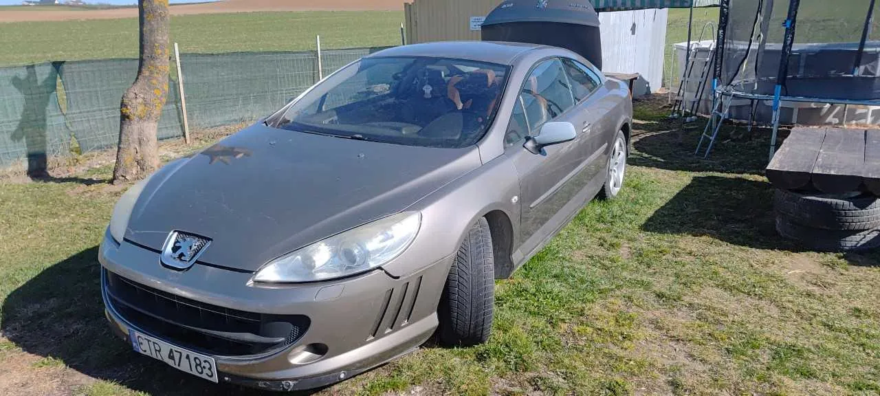 Srebrny samochód marki Peugeot z tablicą rejestracyjną ETR 47183 zaparkowany na trawie. W tle widoczne są drzewo, zielone ogrodzenie, budynek gospodarczy, trampolina oraz pola. Samochód ma dwie drzwi, a na przednim błotniku znajduje się logo marki. Trawa wokół jest częściowo wyschnięta, a na tle rozciąga się otwarta przestrzeń rolnicza.