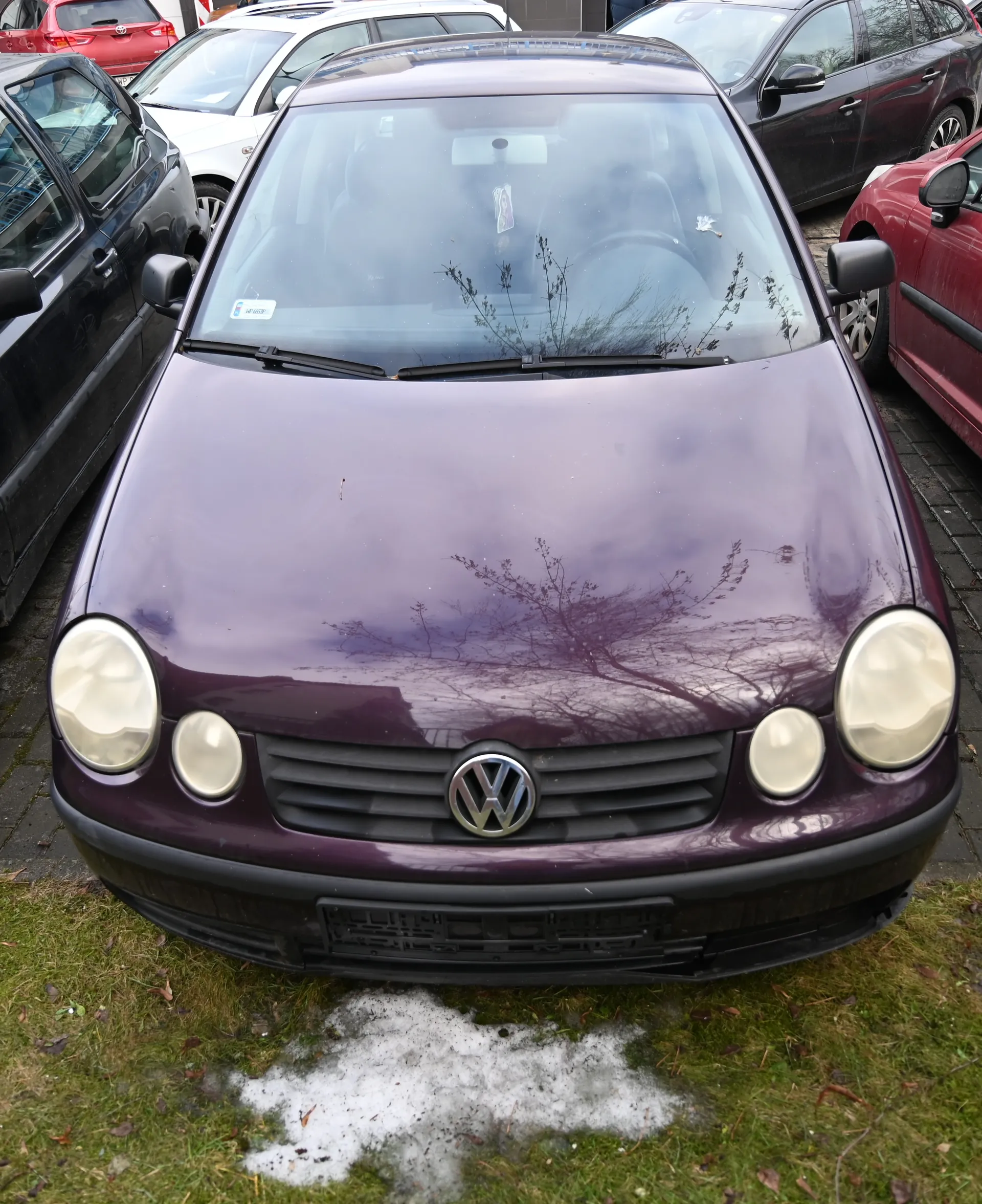 Fioletowy samochód marki Volkswagen z przodu, z widocznym logo na atrapie chłodnicy, reflektorami i przednią szybą. W tle inne zaparkowane samochody: czarny, biały, czerwony i ciemnoszary. Na ziemi trawa z plamą śniegu lub lodu. Na przedniej szybie widoczny mały naklejony dokument. Odbicia drzew na masce i szybie.