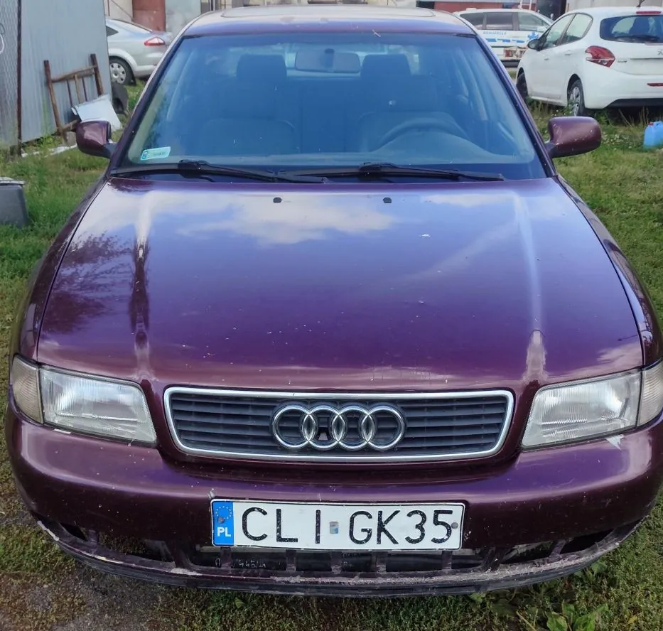 Zdjęcie przodu fioletowego samochodu marki Audi. Widoczny jest grill z logo czterech pierścieni, reflektory oraz polska tablica rejestracyjna o numerze CLI GK35. W tle widać fragmenty innych samochodów i trawę.
