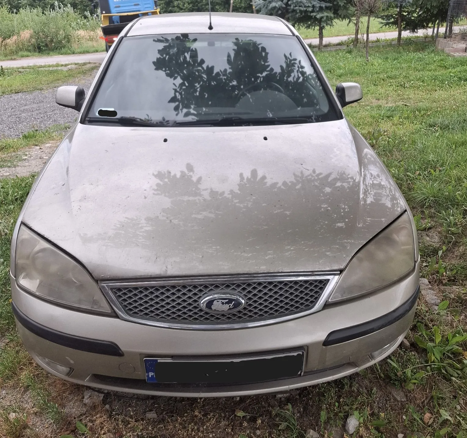 Zdjęcie przodu srebrnego samochodu marki Ford, zaparkowanego na trawie. Widoczna jest maska z odbiciem drzew, przednie reflektory, grill z logo Forda oraz fragment tablicy rejestracyjnej z oznaczeniem kraju PL.