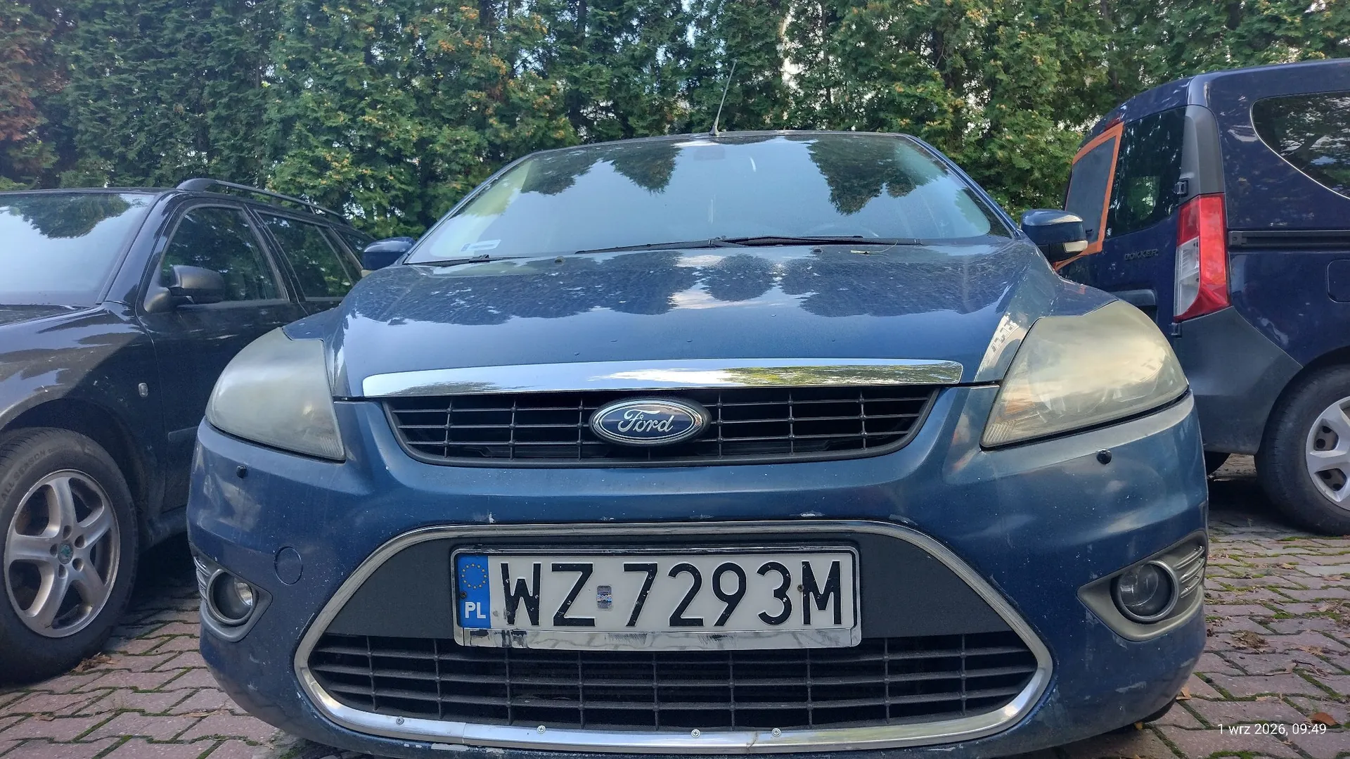Niebieski samochód marki Ford zaparkowany między dwoma innymi pojazdami. Widoczny jest przód auta z tablicą rejestracyjną o numerze WZ 7293M. W tle znajduje się gęsty żywopłot z zielonych drzew.
