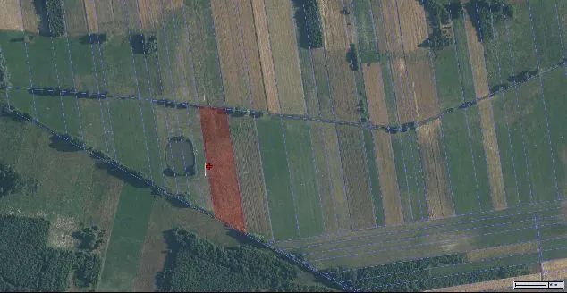 Zdjęcie satelitarne terenu rolniczego z widocznymi wąskimi, pasowymi polami w różnych odcieniach zieleni i brązu. Na obrazie naniesiono niebieskie linie pomocnicze oraz czerwony, półprzezroczysty prostokąt zaznaczający konkretny obszar pola. Wewnątrz zaznaczonego obszaru znajduje się mały czerwony krzyżyk. Po lewej stronie widoczny jest niewielki, ciemny zbiornik wodny.