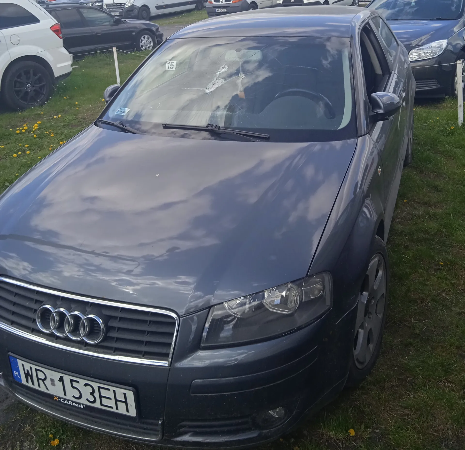 Ciemnoszary samochód marki Audi z tablicą rejestracyjną WR 153EH (PL) zaparkowany na trawie z żółtymi kwiatami. Na przednim szybie widoczny numer 15 oraz pęknięcia. W tle inne pojazdy: biały SUV, czarny sedan i inne samochody. Na zderzaku przednim naklejka z napisem CARwash. Trawa z żółtymi kwiatami otacza pojazd.