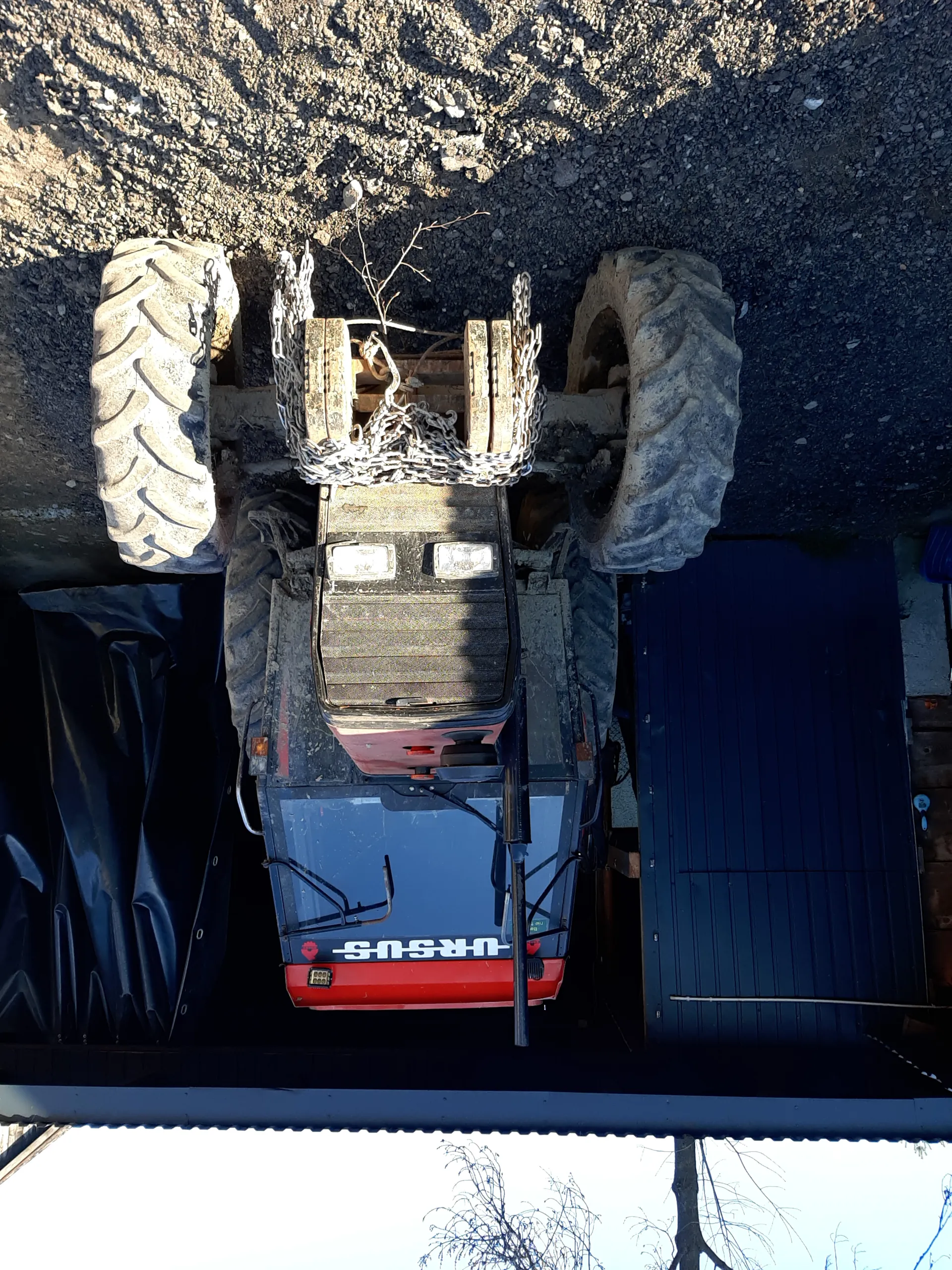 Czerwono-czarny traktor marki URSUS z dużymi oponami i łańcuchami na przodzie. Traktor stoi na żwirowym podłożu obok czarnego budynku z czarną folią. W tle widoczne są suche drzewa i jasne niebo.