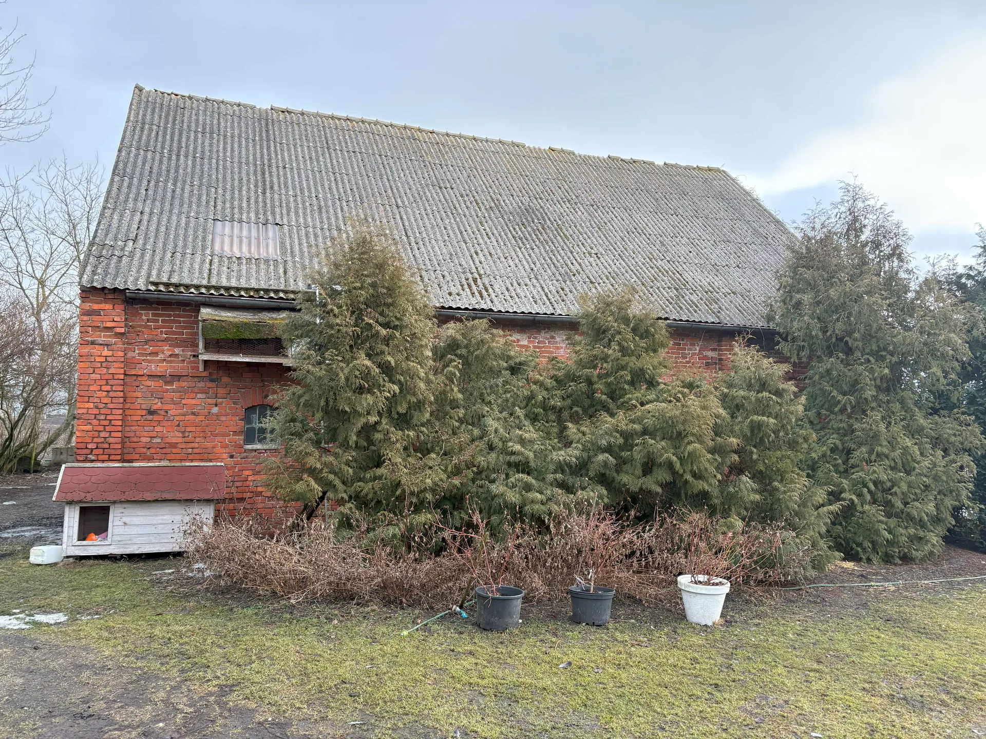 Czerwony ceglany budynek z dachem pokrytym blachą falistą, częściowo porośniętą mchem. Na ścianie znajduje się małe okno i drewniana konstrukcja z czerwonym dachem. Przed budynkiem rosną zielone krzewy iglaste oraz suche krzewy. Na trawie stoją trzy donice: dwie czarne i jedna biała. Tło stanowi pochmurne niebo i drzewa bez liści.