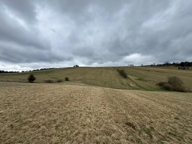 Obraz przedstawia rozległe pole z suchą, brązową trawą na pierwszym planie. W tle widoczne są wzgórza z zielonymi i brązowymi obszarami, kilka pojedynczych drzew oraz gęste, szare chmury na niebie. Linia horyzontu jest pozioma, a całość krajobrazu ukazuje się w naturalnej orientacji bez widocznych elementów tekstowych.