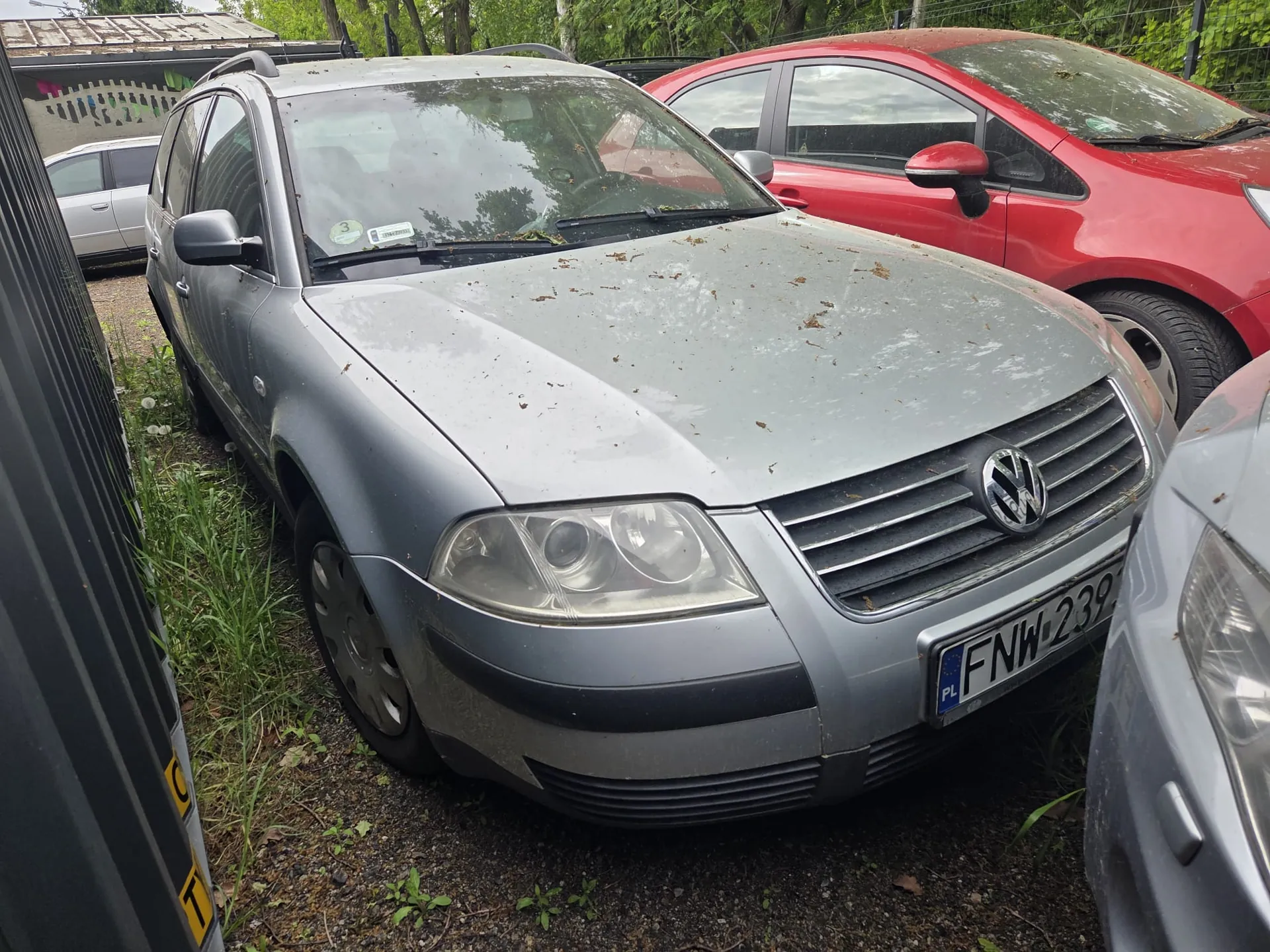 Srebrny samochód marki Volkswagen z tablicą rejestracyjną PL FWW 239, zaparkowany na żwirowym podłożu z trawą. Na masce widoczne są plamy i liście. W tle czerwony samochód, srebrny pojazd oraz budynek z dachem i drzewami. Tablica rejestracyjna i tekst na niej są czytelne, ustawione poziomo.