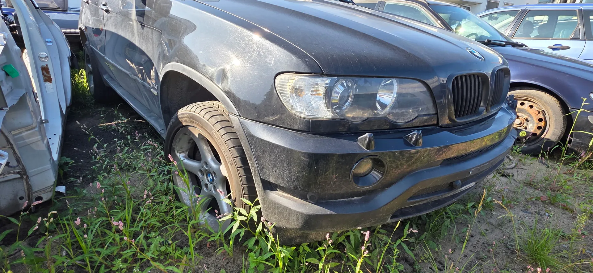 Zbliżenie na przód czarnego samochodu marki BMW, zaparkowanego na trawiastym terenie. Pojazd jest zakurzony, z widocznymi zarysowaniami na masce. Widoczna jest prawa lampa przednia, charakterystyczna atrapa chłodnicy w kształcie nerek oraz przednie prawe koło z felgą BMW. Po lewej stronie zdjęcia widoczne są fragmenty białych części samochodowych, a w tle inny ciemny samochód.