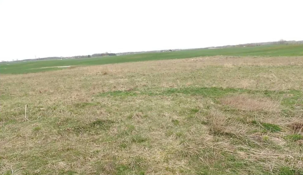 Szeroki widok na otwarty teren z suchą, żółto-brązową trawą na pierwszym planie, przechodzącą w zielone pola w oddali pod jasnym, zachmurzonym niebem.