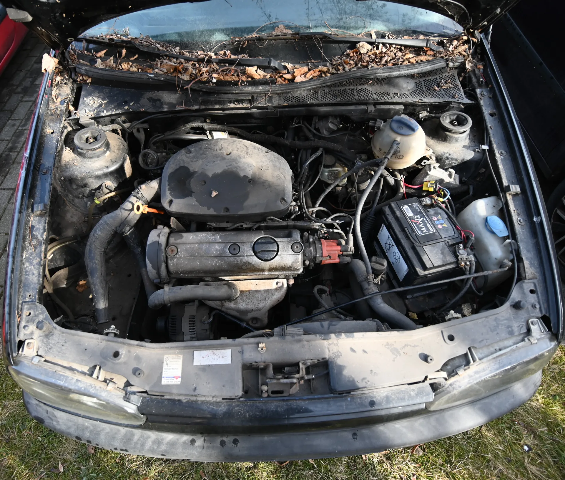 Samochód z otwartą maską ukazujący zanieczyszczony kompartament silnika. Widać silnik, akumulator z widocznym napisem 'VARTA', zbiornik płynu chłodniczego, przewody i węże. Na krawędzi maski oraz wokół silnika znajdują się suche liście. Samochód stoi na trawie, w tle fragment chodnika i częściowo widoczny czerwony pojazd po lewej stronie.