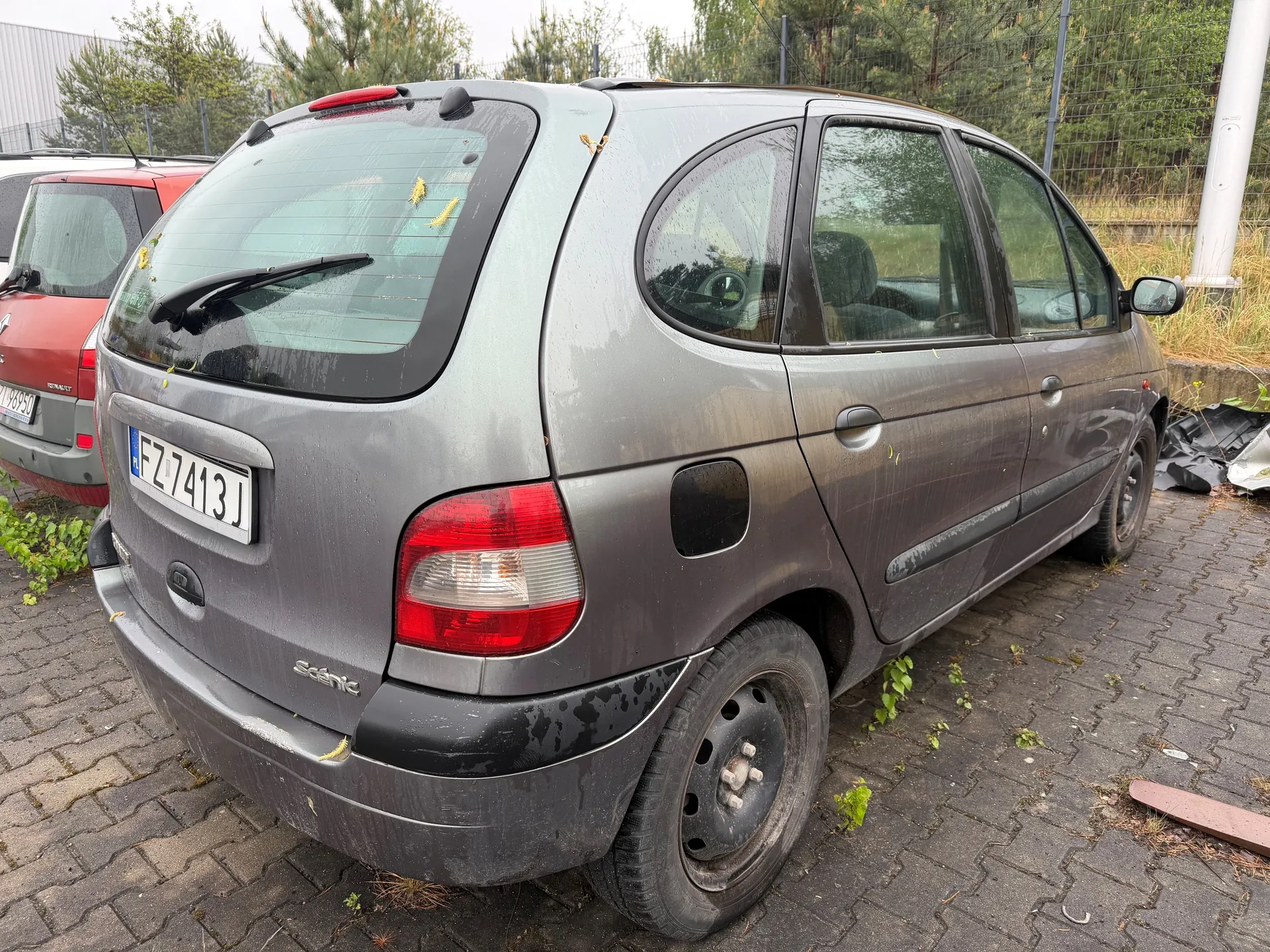 Szary samochód Renault Scénic zaparkowany na brukowanej powierzchni. Widoczny tył pojazdu z tablicą rejestracyjną FZ7413J, czerwonymi światłami tylnymi i napisem "Scénic" na bagażniku. Samochód jest zabrudzony, na szybie tylnej znajdują się żółte plamy. W tle czerwony samochód, siatka ogrodzeniowa, drzewa i trawa. Na ziemi rosną pojedyncze rośliny, a obok pojazdu leżą rozrzucone elementy plastikowe.