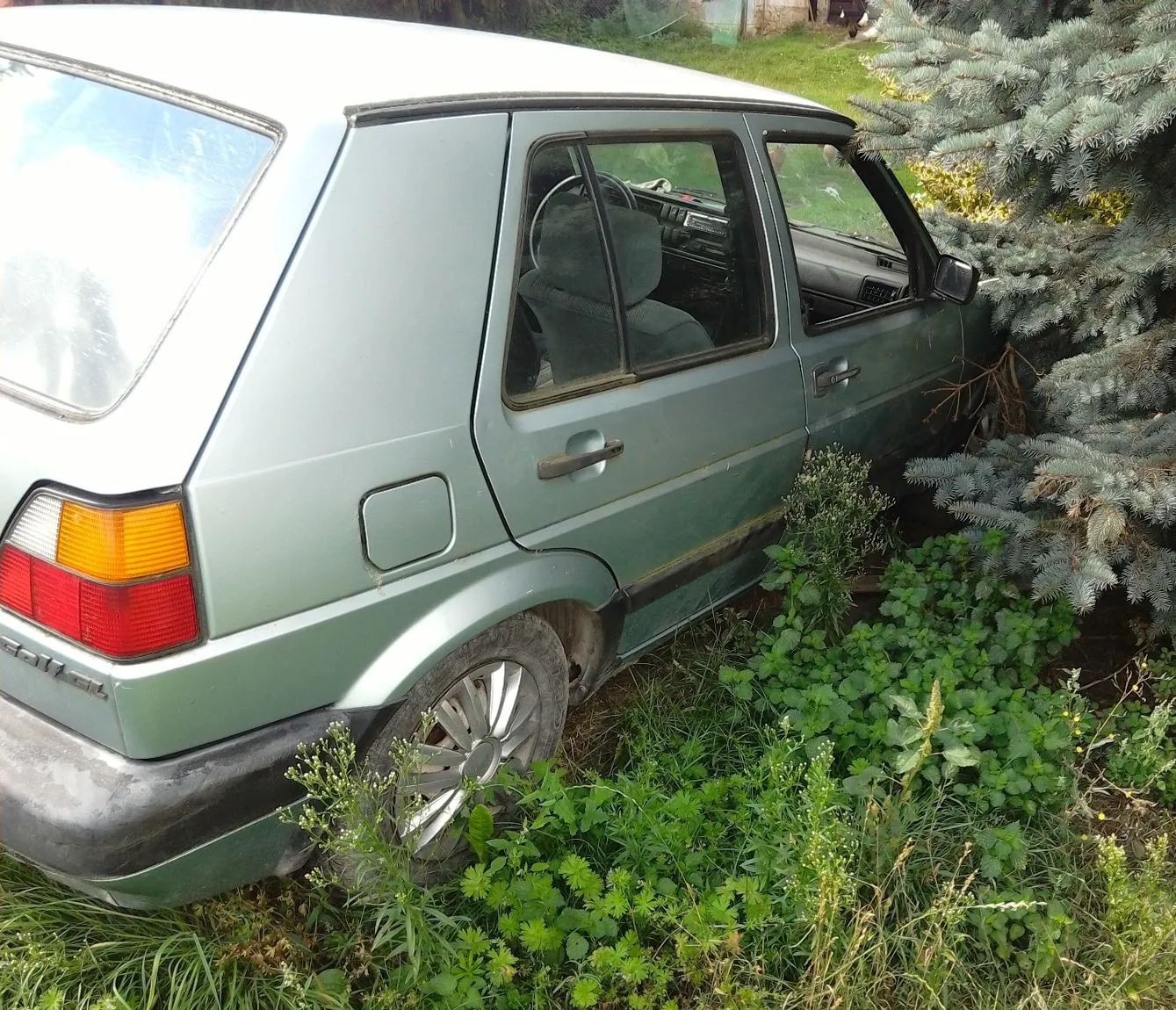 Zdjęcie przedstawia tył i bok starego, jasnoniebieskiego samochodu osobowego typu hatchback, który stoi zaparkowany w wysokiej trawie i roślinności, częściowo wtulony w gałęzie świerka. Widoczna jest tylna lampa z czerwonymi i pomarańczowymi sekcjami oraz tylne koło z seryjną felgą.
