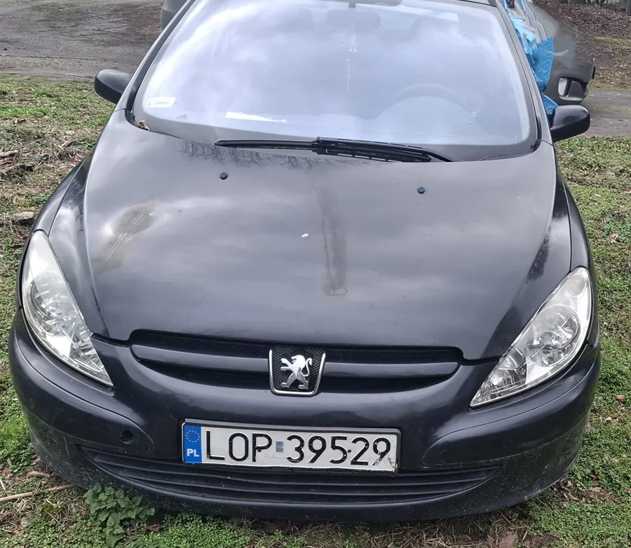 Czarny samochód marki Peugeot z przodu, z widocznym logo lwa na masce. Tablica rejestracyjna PL LOP 39529 z niebieskim pasem po lewej stronie. Samochód stoi na trawie z widocznymi śladami brudu na masce. W tle fragment drogi i zielonej roślinności. Przednie światła i szyba przednia są czyste, a wycieraczki umieszczone są poziomo.