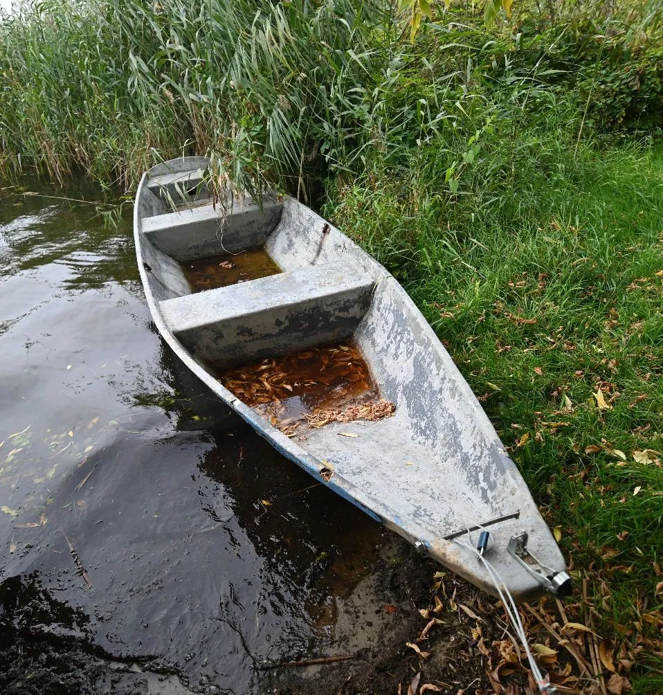 Srebrna, metalowa łódź o spiczastym kształcie, częściowo wypełniona wodą i suchymi liśćmi, zacumowana przy brzegu jeziora. Łódź znajduje się na granicy ciemnej wody i zielonej trawy, w tle widoczne są wysokie trzciny.