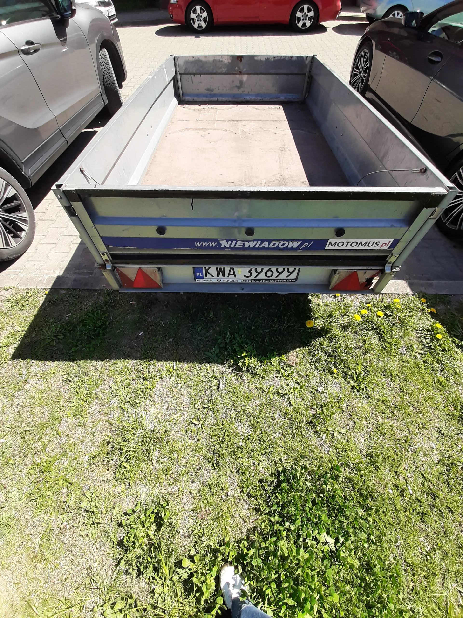 Przyczepa drobna z metalowym nadwoziem, na której widoczne są napisy: 'MOTOMUS.pl', 'WWW.NIEWIADOW.pl' oraz tablica rejestracyjna 'KWA 3969'. Przyczepa stoi na brukowanej powierzchni obok trawnika z żółtymi kwiatami (mniszkiem). W tle widoczne są częściowo samochody: czerwony, czarny i srebrny. Po prawej stronie obrazu znajduje się stopa osoby w białym buciku i niebieskich dżinsach. Na przyczepie umieszczone są również czerwone trójkątne oznaczenia świetlne.