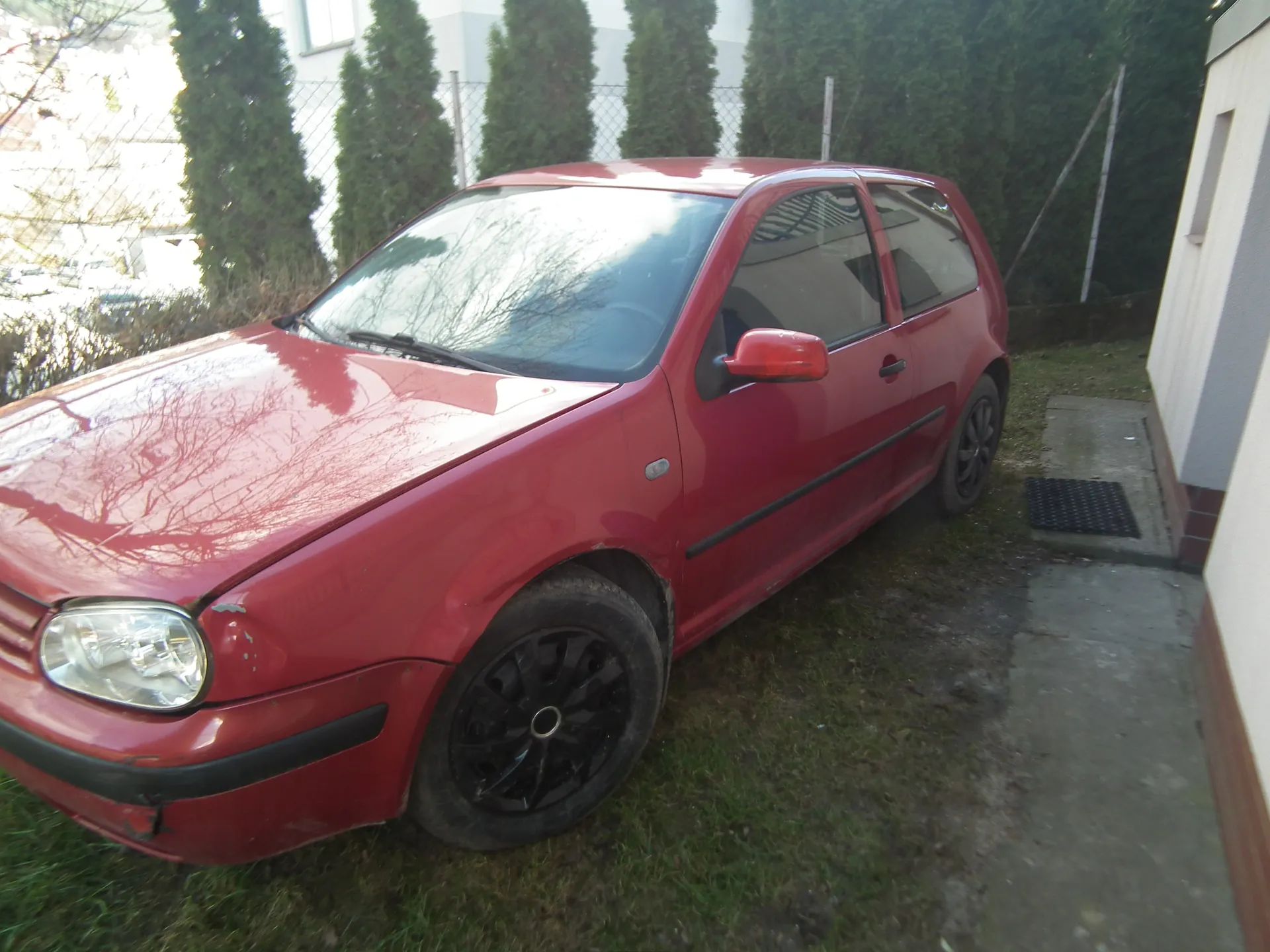 Czerwony samochód osobowy typu hatchback zaparkowany na trawie obok budynku. Samochód ma czarne felgi, widoczne uszkodzenie na przednim zderzaku oraz czarną listwę boczną. W tle znajdują się wysokie zielone krzewy, siatka ogrodzeniowa, budynek z betonową ścieżką oraz czarna mata przy wejściu. Trawa wokół pojazdu jest częściowo zniszczona.